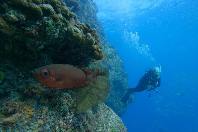 Private Beginner Scuba Diving Experience in Cabo San Lucas - The two-and-a-half-hour schedule
