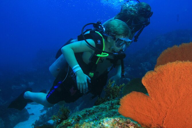 Private Beginner Scuba Diving Experience in Cabo San Lucas - Health rules and who should take care