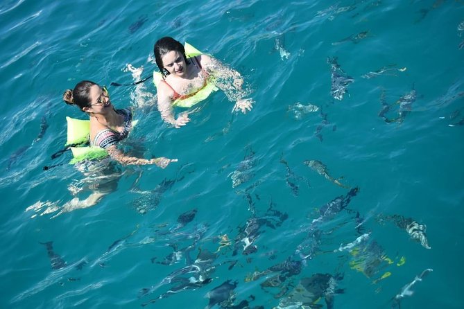 Private Catamaran Snorkeling Cruise in Los Cabos - Food, drinks, and the real value of the $950 rate