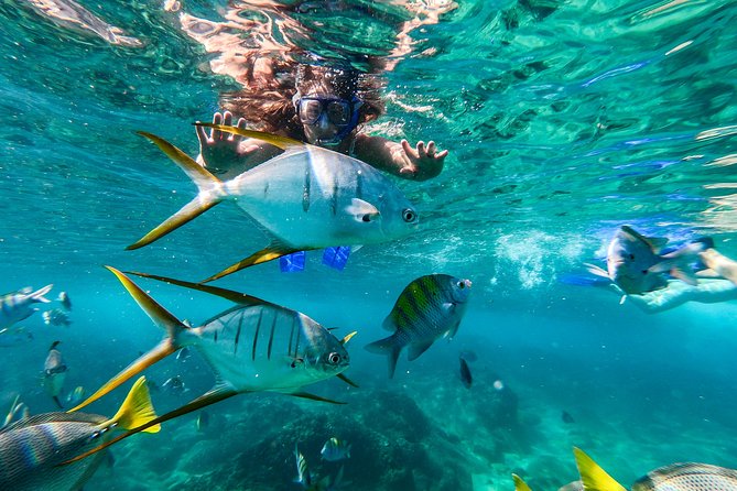 Private Day Trip to San José & Cabo San Lucas - What the guides add to the day