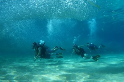 Private Dive Boat for Certified Divers – Cabo San Lucas
