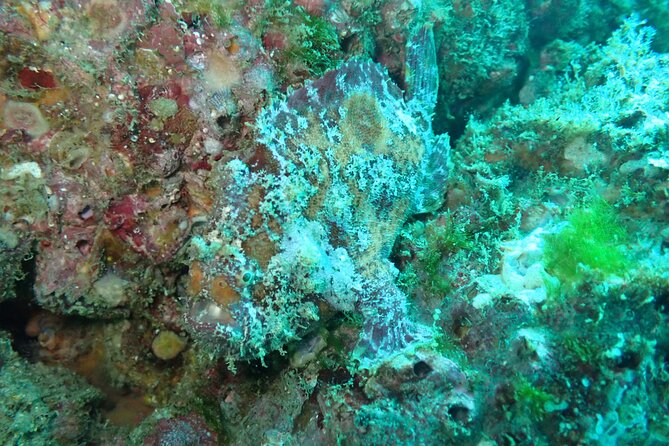 Private Dive Boat for Certified Divers - Cabo San Lucas - Equipment costs and what the price really covers