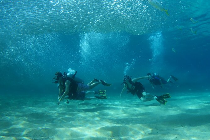 Private Dive Boat for Certified Divers - Cabo San Lucas - Choosing the first underwater site