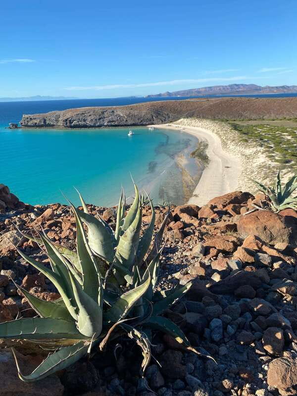 Private experience from Cabo San Lucas to La Paz: (Balandra beach) - Starting in Cabo: simple pickup, early planning
