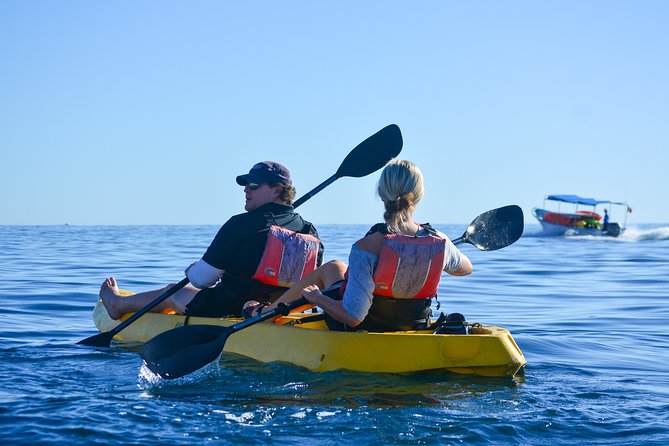 Private Glass bottom Kayak and snorkel at two Bays - Why the private format matters