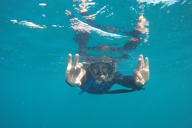 Private Guided Snorkeling in Cabo San Lucas - Meeting at Plaza Nautica