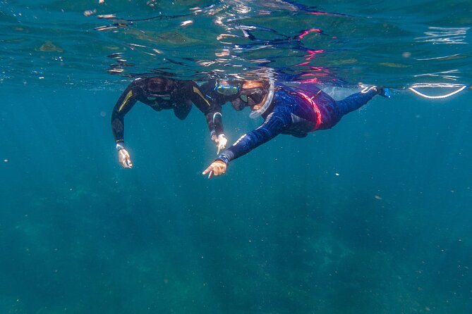 Private Guided Snorkeling in Cabo San Lucas - El Arco, Cabo’s essential photo stop