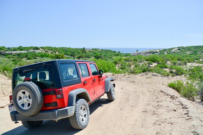 Private Jeep Tour Cabo Pulmo - The return along the Transpeninsular Highway