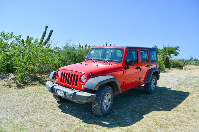 Private Jeep Tour Cabo Pulmo - Pickup details that can save you trouble