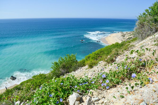 Private Jeep Tour Cabo Pulmo - Who will get the best value from $650