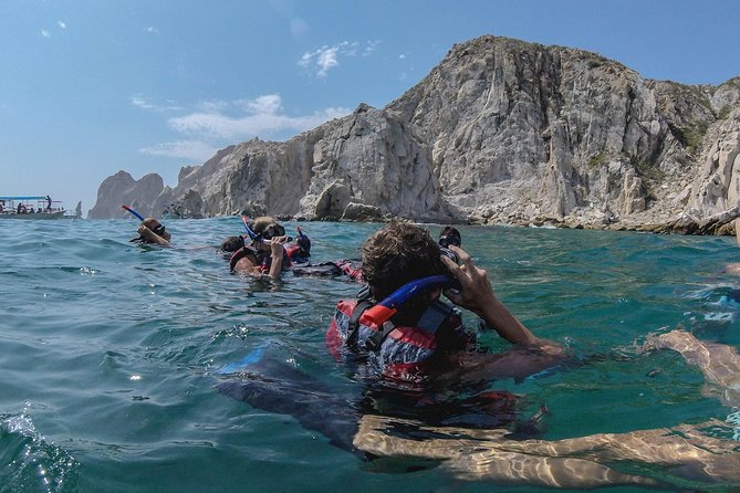 Private Los Cabos snorkeling tour to Chileno bay and Santa Maria cove - What you may see below the surface