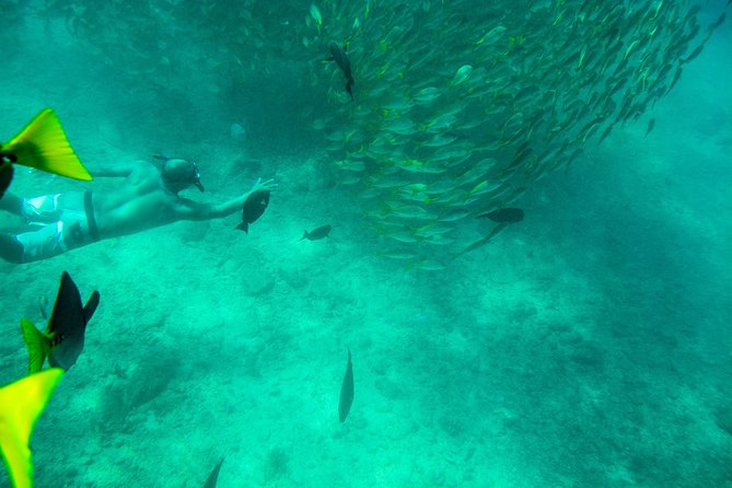 Private Los Cabos snorkeling tour to Chileno bay and Santa Maria cove - Pickup, cruise port details, and timing