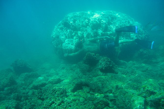 Private Los Cabos snorkeling tour to Chileno bay and Santa Maria cove - What to bring and what to expect on the beach