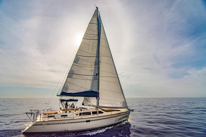 Private Luxury 42ft Sailing with Snorkeling in Los Cabos - El Arco, Lover’s Beach, and the sea lion colony