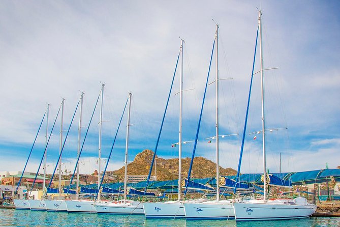 Private Luxury Sailing Cruise in Los Cabos with Lunch and Open Bar - Swimming, snorkeling, and paddleboarding in the bay