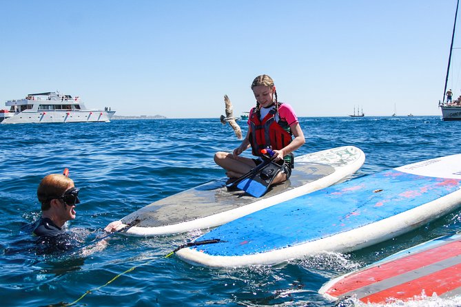 Private Paddleboard and snorkel at the arch - Playa del Amor and Divorce Beach from the water