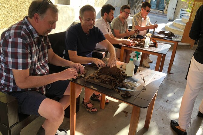 Private Puro Cigar Creation Workshop in Los Cabos - A Few Practical Tips for a Better Session