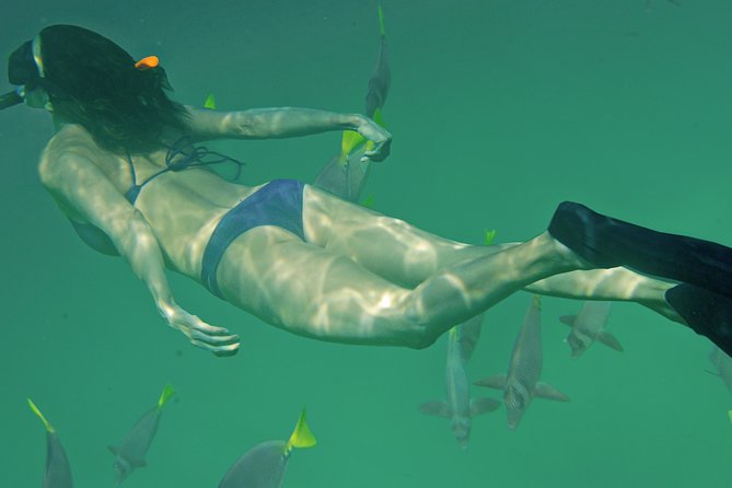 Private Snorkeling Tour in Cabo San Lucas - Practical concerns before you step aboard