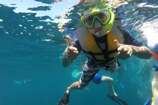 Private Snorkeling Tour in Cabo San Lucas - Choosing between two hours and four