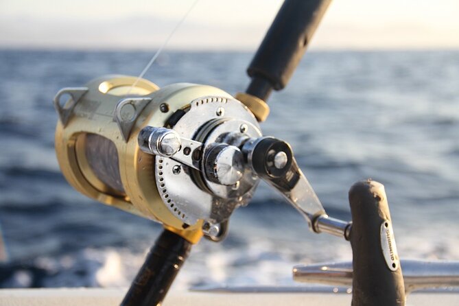 Private Sport Fishing Charter Experience in Cabo San Lucas (5 Hours) - Should you book the Loveshack Cruises charter?