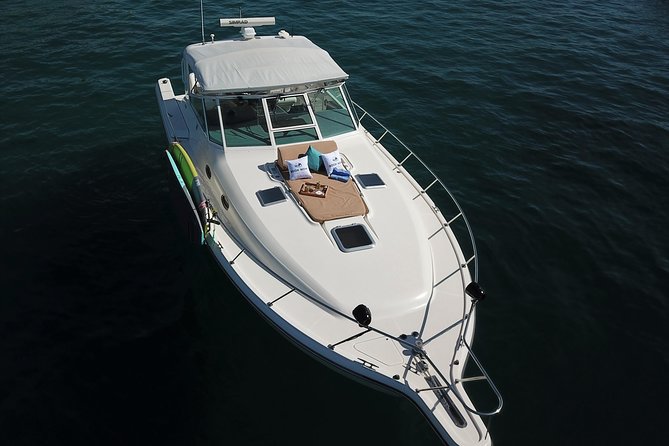 Private Sunset Cruise- 3 Hour - Food, fishing, and whale sightings