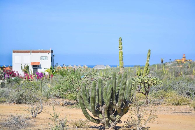 Private Todos Santos Jeep - Key points to know before you book
