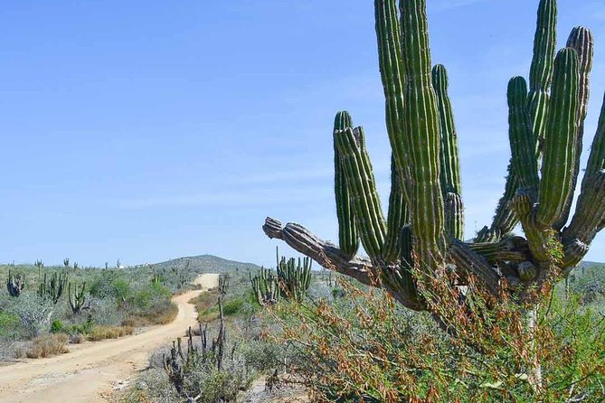 Private Todos Santos Jeep - What the $650 price really covers