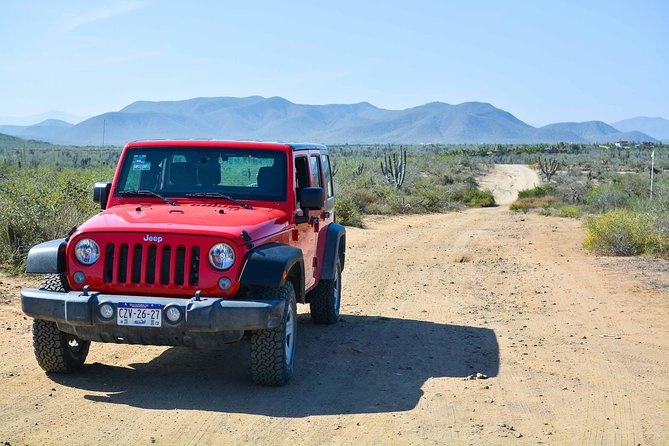 Private Todos Santos Jeep - Cerritos Beach and the first taste of Baja