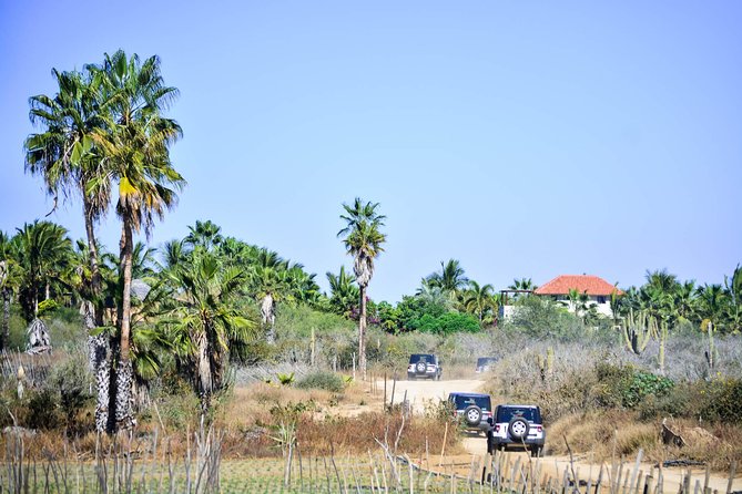 Private Tour Baja Jeep 4x4 Adventure at Los Cabos - Fox Canyon is the day’s main reward