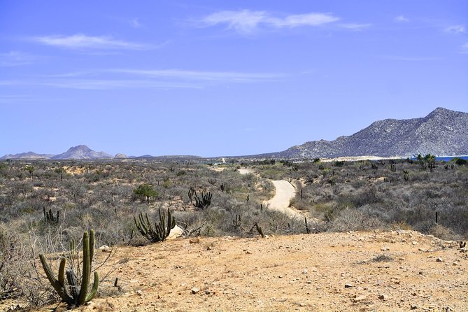 Private Tour Baja Jeep 4x4 Adventure at Los Cabos - The Tropic of Cancer adds a memorable roadside stop