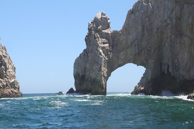 Private Tour to the Arch of Cabo San Lucas by Glass Bottom Boat - What You See Between Dock D and the Arch