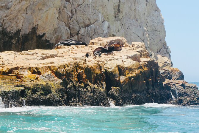 Private Tour to the Arch of Cabo San Lucas by Glass Bottom Boat - Meeting at D Dock Without a Last-Minute Rush