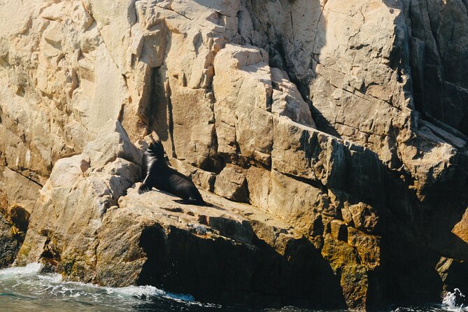 Private Tour to the Arch of Cabo San Lucas by Glass Bottom Boat - How the One-Hour Schedule Works