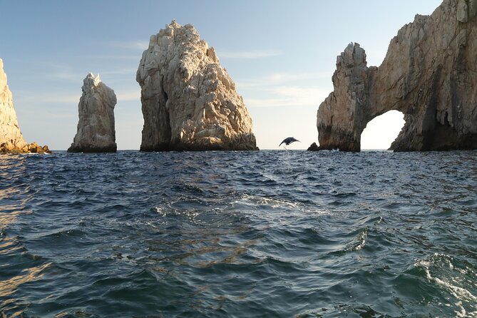 Private Tour to the Arch of Cabo San Lucas by Glass Bottom Boat - Who Will Enjoy This Cabo Tour Most