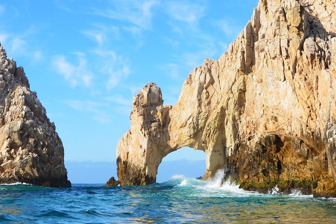 PRIVATE Whale Watch Tour | Cabo San Lucas | Biologist | FREE Pics - Starting at Marina Cabo San Lucas