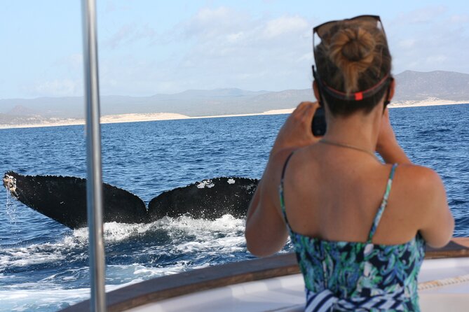 Private Whale Watching in San José del Cabo - Five useful things to know before booking