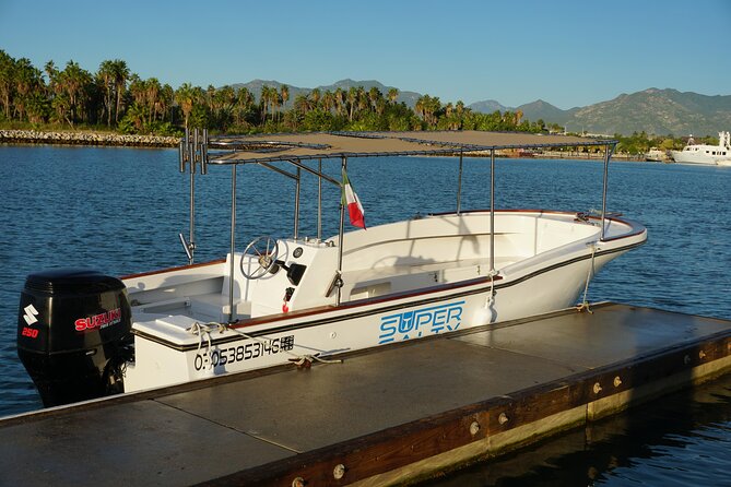Private Whale Watching in San José del Cabo - What happens once you reach the boat