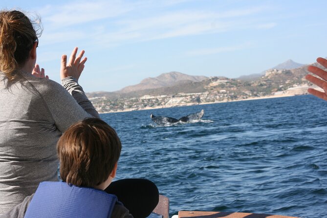 Private Whale Watching in San José del Cabo - Guides who add meaning to the outing