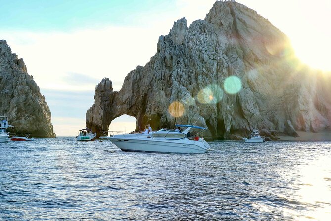 Private Whale Watching on Luxury Yacht in Cabo San Lucas - Meeting at the marina at 8:00 am