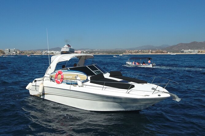 Private Whale Watching on Luxury Yacht in Cabo San Lucas - Who should book this Cabo yacht trip