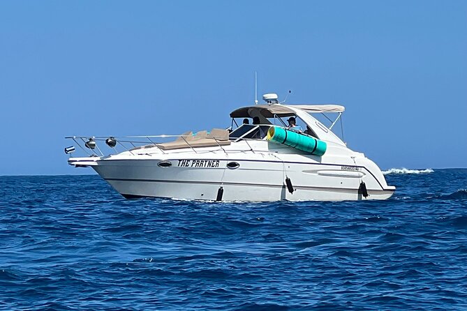 Private yacht rental for 2 hours - Whales, sea lions, and the possibility of marine life