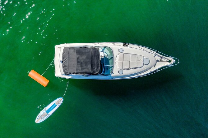 Private Yacht, Snorkeling or Sunset in Cabo San Lucas - Snorkeling near Pelicans Rock