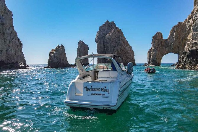 Private Yacht, Snorkeling or Sunset in Cabo San Lucas - Whale watching in the Sea of Cortez
