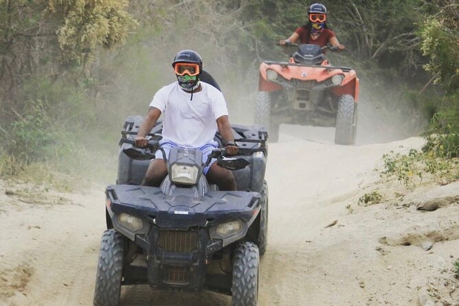 Ride through Bajas wild beauty—from desert trails to ocean views. - How much value do you get for $76.50?