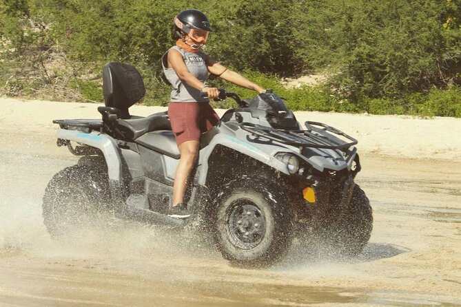 Ride through Bajas wild beauty—from desert trails to ocean views. - Practical advice for a smoother ride