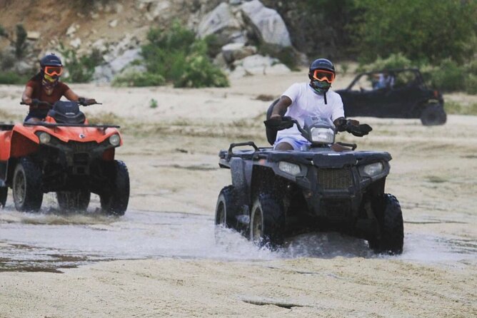 Ride through Bajas wild beauty—from desert trails to ocean views. - Should you book the Migriño ATV ride?