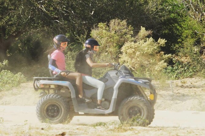 Ride through Bajas wild beauty—from desert trails to ocean views. - Reaching Playa Migriño and the Pacific