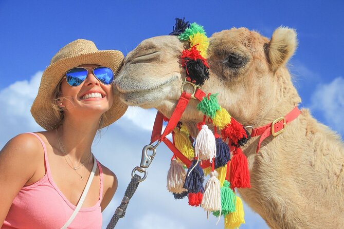 Safari with Camel Caravan to Explore Baja’s Nature, Culture and Cuisine - Key points to know before booking