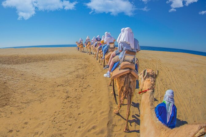 Safari with Camel Caravan to Explore Baja’s Nature, Culture and Cuisine - Mezcal, tequila, and included drinks