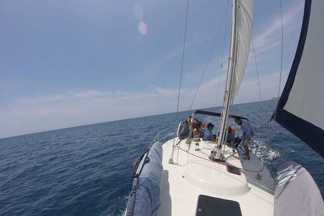 Sailing Snorkel Adventure - Key things to know before you book